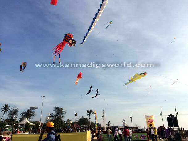 Kite_Fest_Start_9