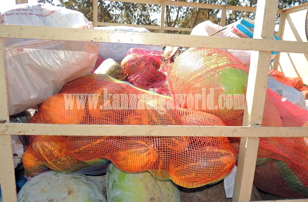 Paryaya2015_Horekanike_Kundapura (5)