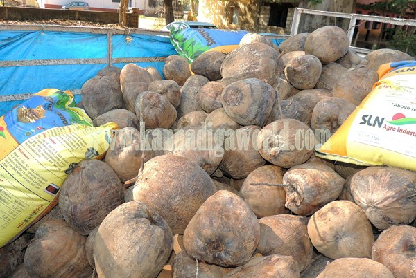 Paryaya2015_Horekanike_Kundapura (6)