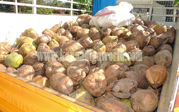 Paryaya2015_Horekanike_Kundapura (9)