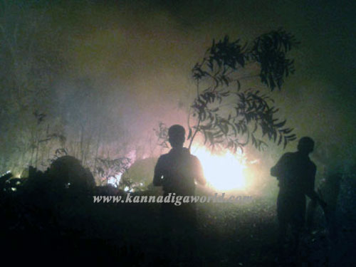 kalanje_fire_forrest