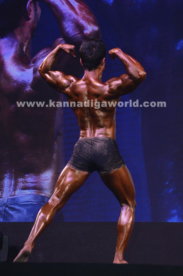 Dubai bodu builders_Feb 2-2016-029