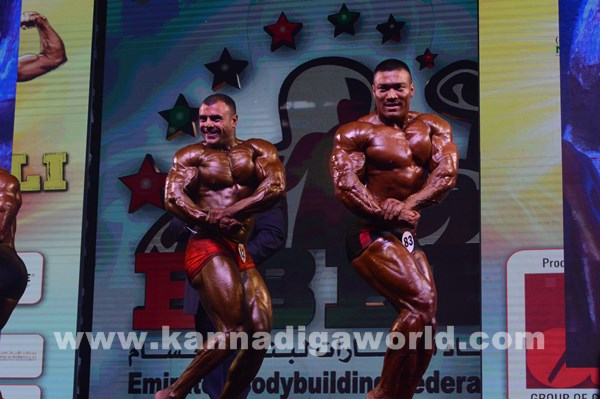 Dubai bodu builders_Feb 2-2016-126