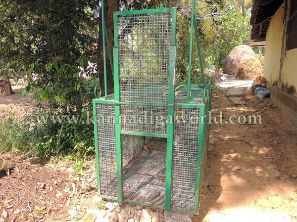 Kota_Monky_Problem (4)