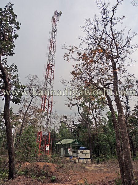 ShyaMehaklu_Cunavane_Bycout (2)