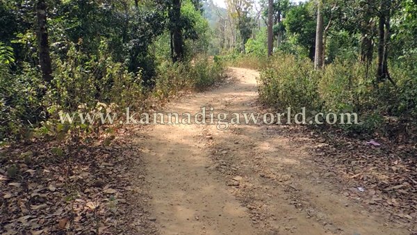 ShyaMehaklu_Cunavane_Bycout (3)