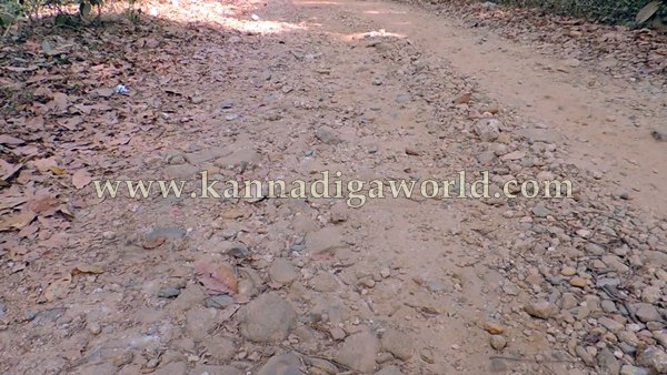 ShyaMehaklu_Cunavane_Bycout (4)