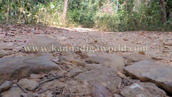 ShyaMehaklu_Cunavane_Bycout (5)