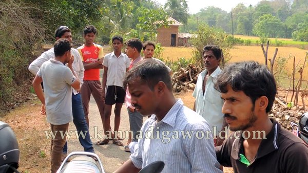 ShyaMehaklu_Cunavane_Bycout (6)