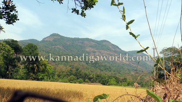 ShyaMehaklu_Cunavane_Bycout (7)