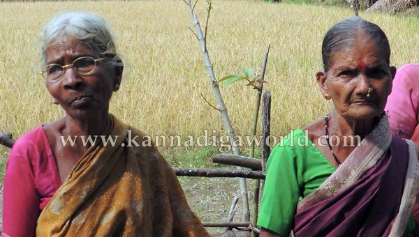 ShyaMehaklu_Cunavane_Bycout (9)