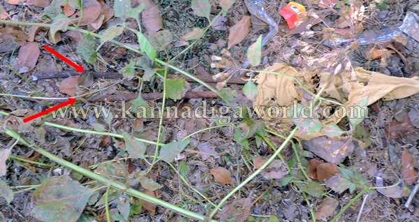 Soukuru_Durga Temple_Theaft (24)