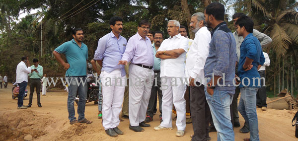 bajal_insption_lobo_1