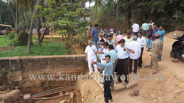 bajal_insption_lobo_2