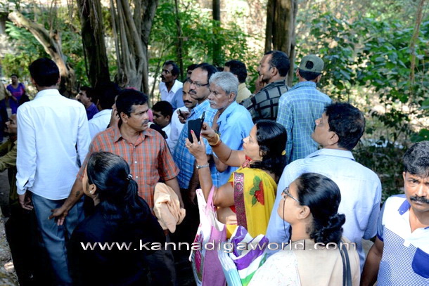 young_hanging_tree_10