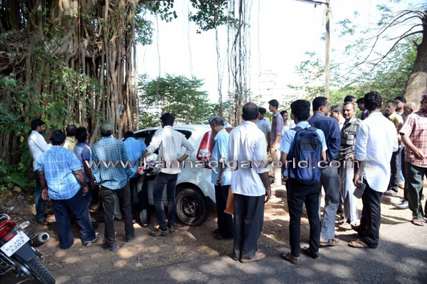 young_hanging_tree_4