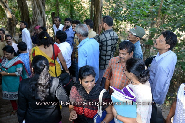 young_hanging_tree_6