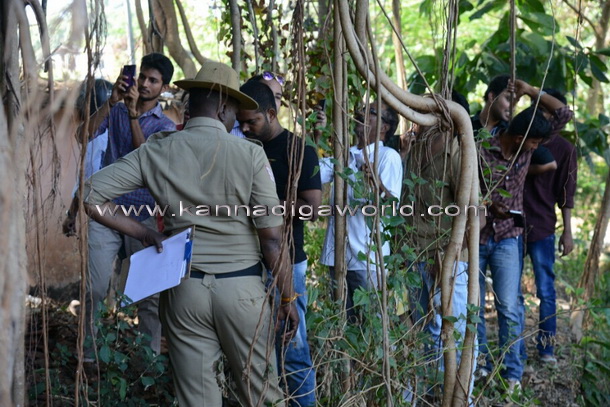 young_hanging_tree_9