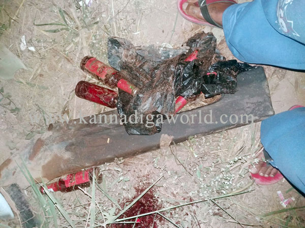 Derlakatte_car_axidt_b