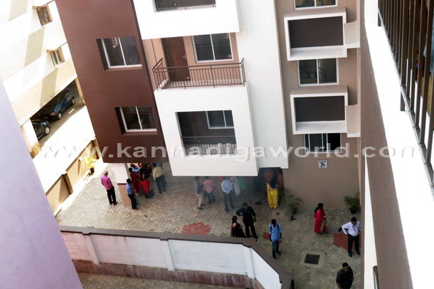 InLand_Evince_open_19