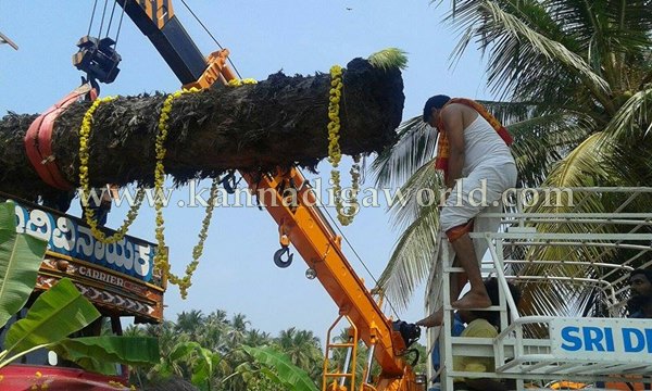Kalmadi_Baggu Panjurli_Tree Distribute (3)