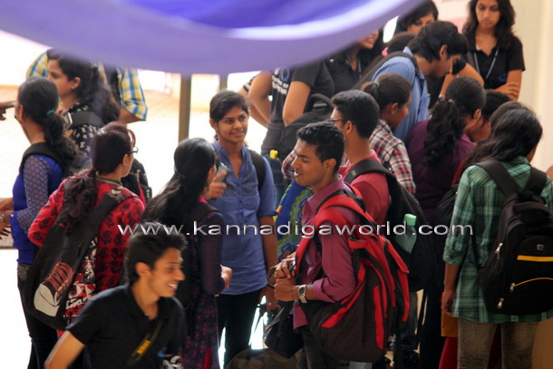 Niite_becons_photo_8