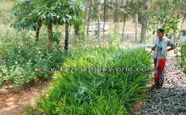 tanirbavi_art_park_10