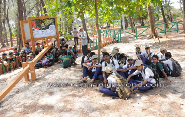 tanirbavi_art_park_25