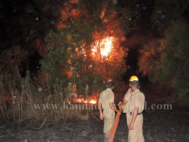Kota_Moodugiliyar_Fire Incident (20)