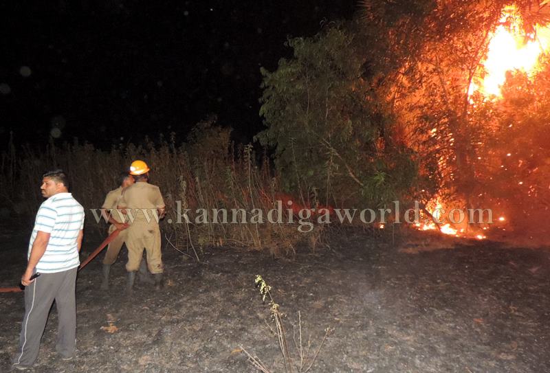 Kota_Moodugiliyar_Fire Incident (21)