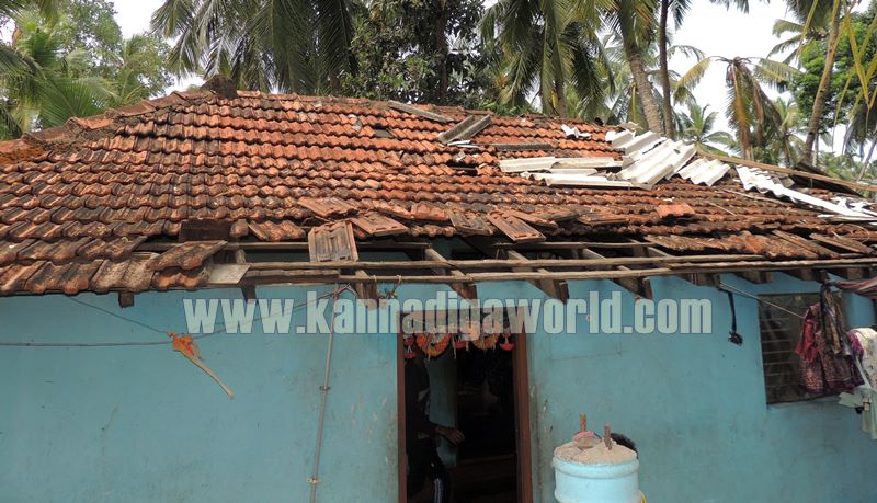 Kundapura_Rain Problem_May1502016 (18)
