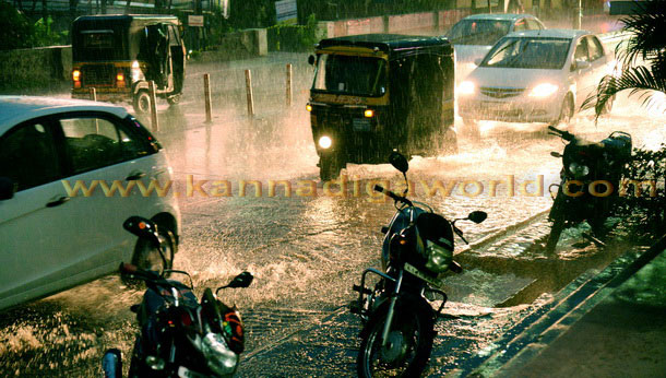 Rain_Pics_17thmay_3