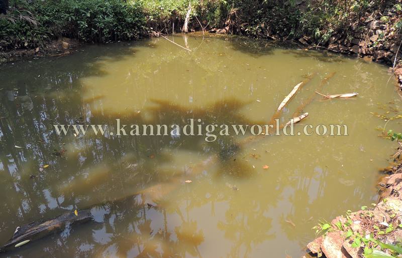 siddapura_Three family Members_ drowning pond (15)