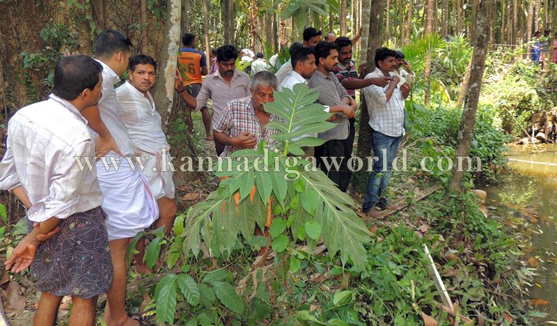 siddapura_Three family Members_ drowning pond (5)