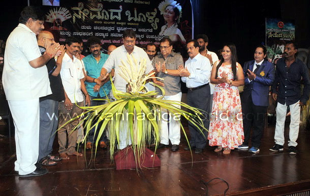 Nemada_bolya_photo_1