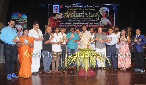 Nemada_bolya_photo_2