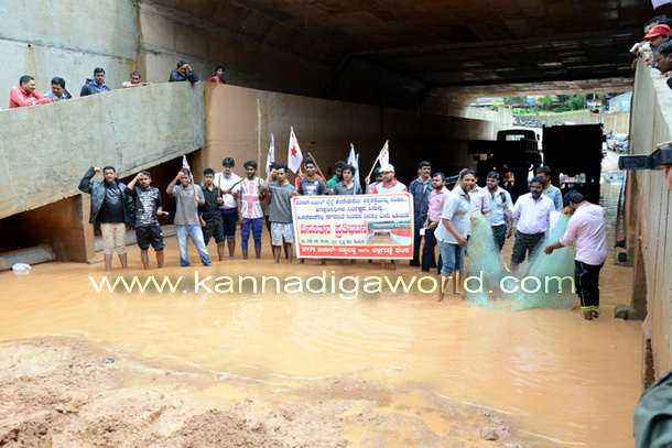 Padil_protest_photo_4