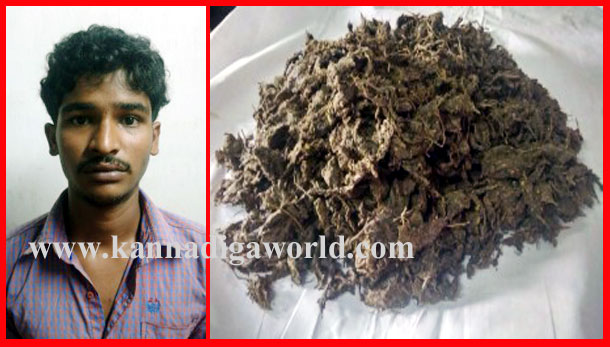 Ganja_accused_Nasir