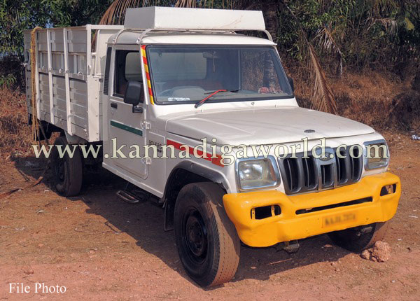 Illeagle-Cattle_Pikup