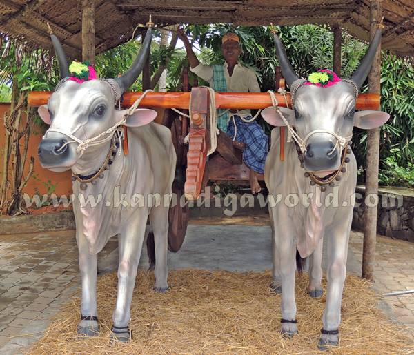 Kota_Pramodh Madvaraj_Gadi Koosanna (30)