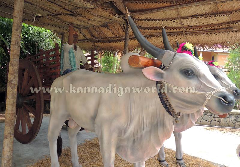 Kota_Pramodh Madvaraj_Gadi Koosanna (31)