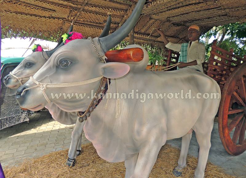 Kota_Pramodh Madvaraj_Gadi Koosanna (33)