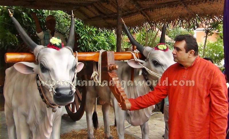 Kota_Pramodh Madvaraj_Gadi Koosanna (9)