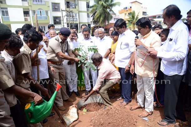 Ladyhill_koti_vruksha_3