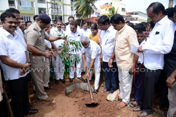 Ladyhill_koti_vruksha_5