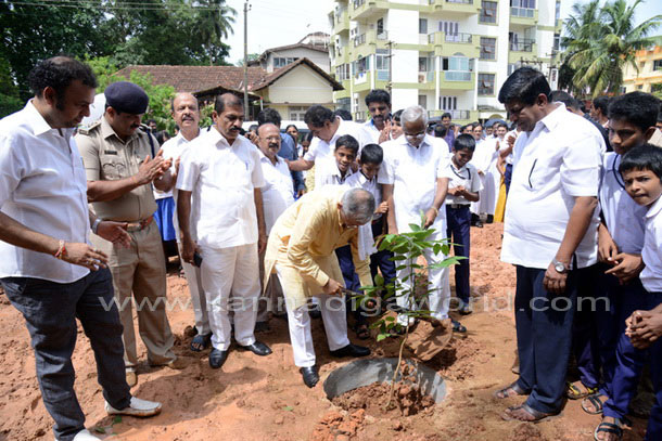 Ladyhill_koti_vruksha_6