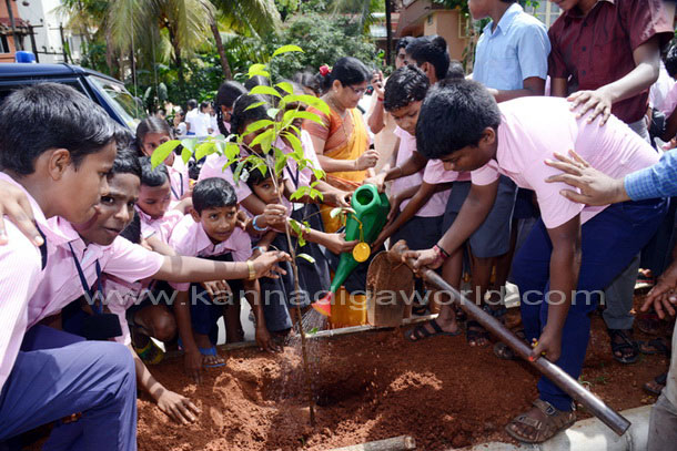 Ladyhill_koti_vruksha_7