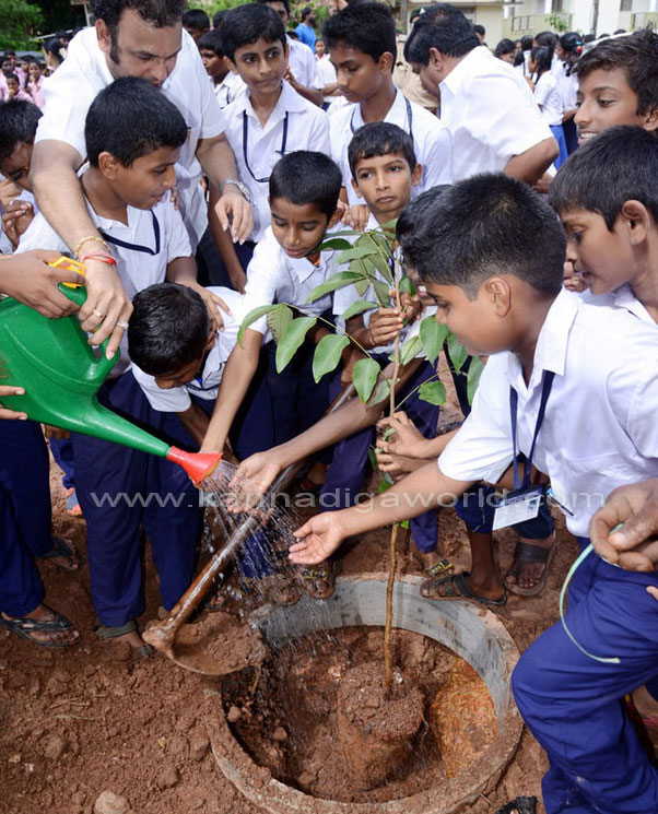 Ladyhill_koti_vruksha_9