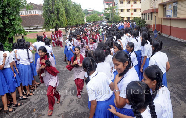 Salumara_thimmakka_ (16)