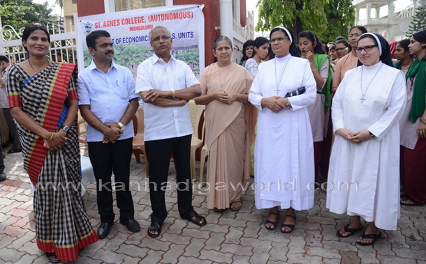 Salumara_thimmakka_ (18)